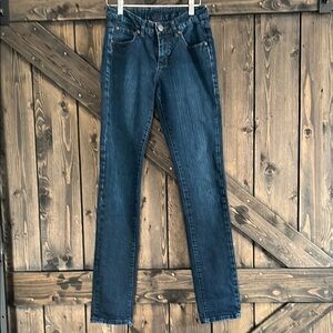 Jag Jeans Blue Skinny Denim Classic